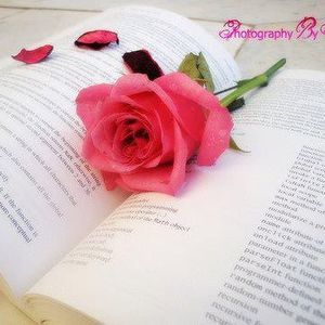 Meet your Posher, Al